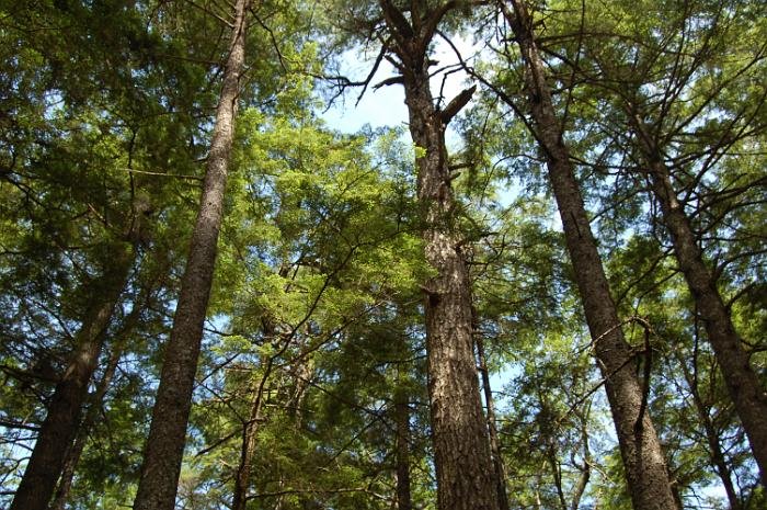 Kanutrip Naturreservat Sporting Lake_69